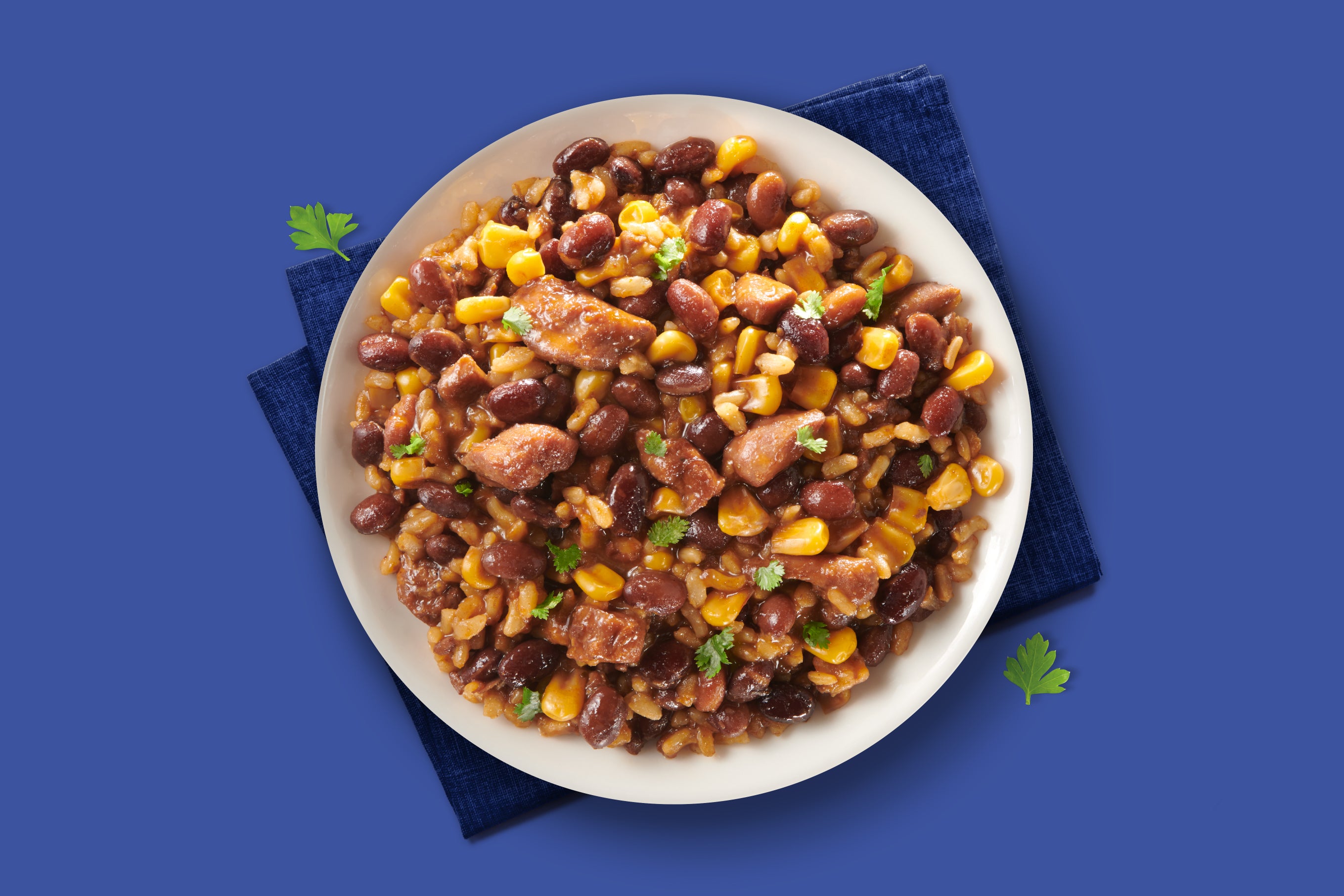 Chicken Tinga with Rice (10.5 oz tray)